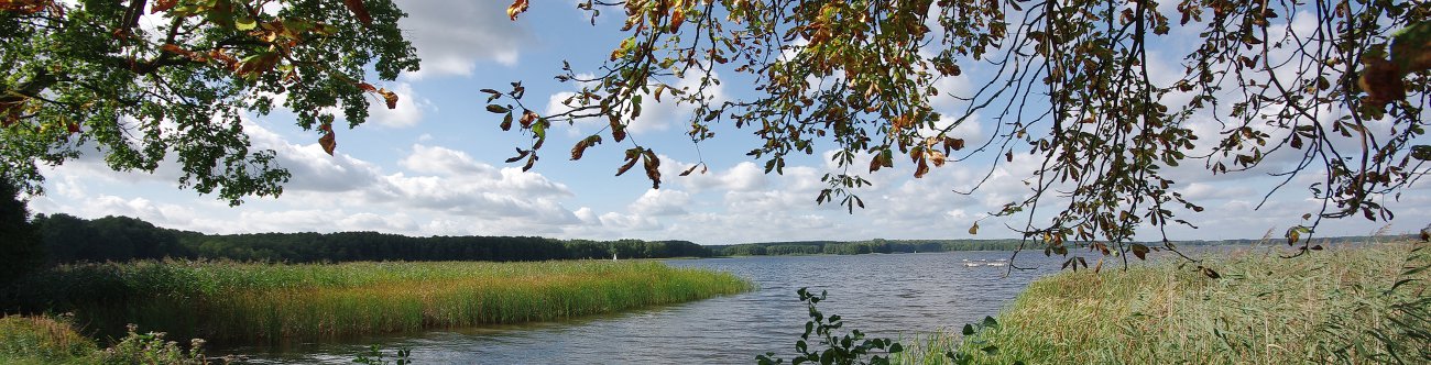 Kloster Himmelpfort, Erholungsort im Wald- und Seengebiet im Norden der Mark Brandenburg: Herbst am Stolpsee